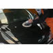spot